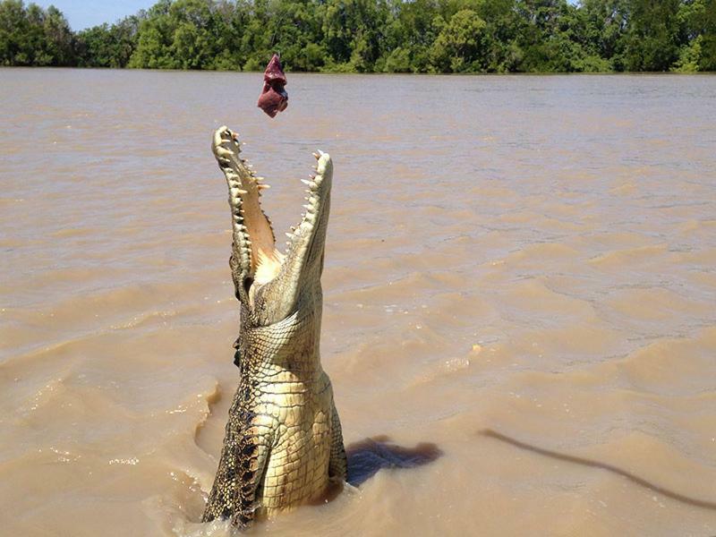 ホテル The Tropical Sanctuary ダーウィン エクステリア 写真