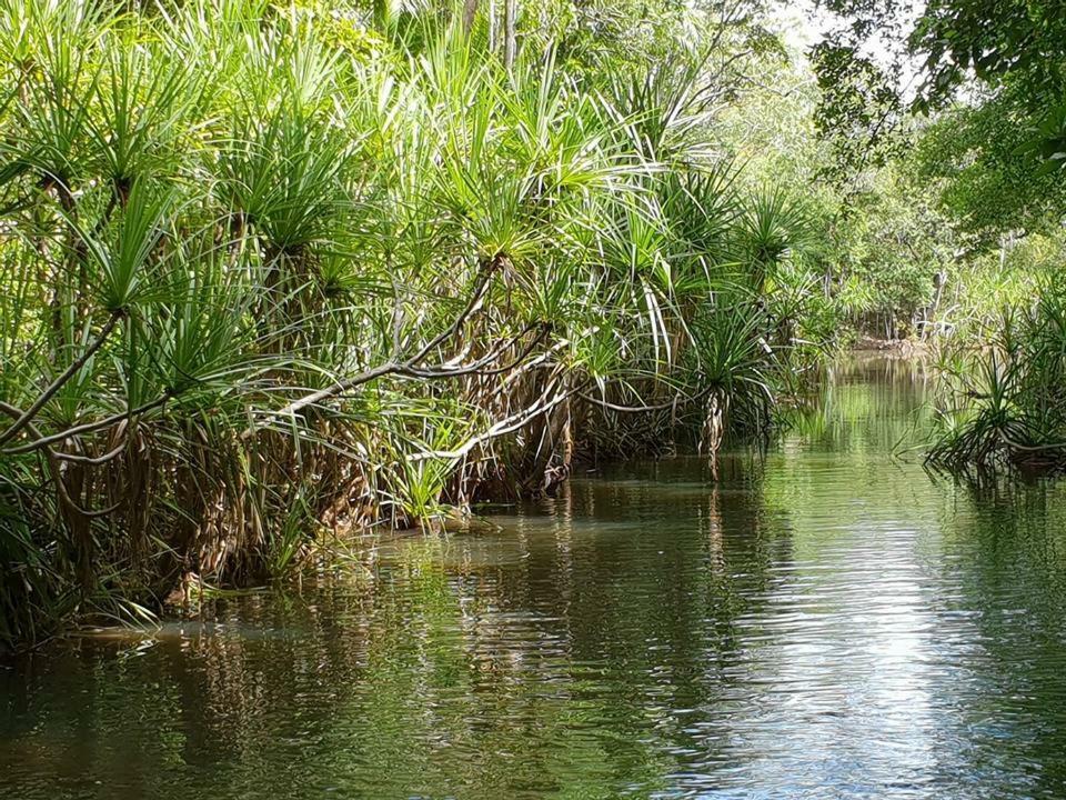 ホテル The Tropical Sanctuary ダーウィン エクステリア 写真